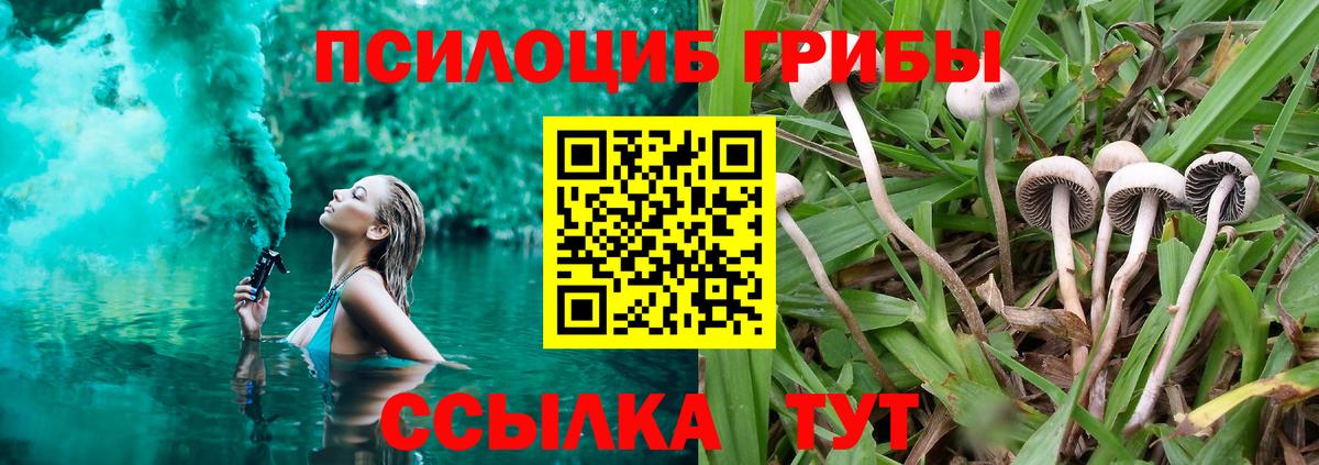 Галлюциногенные грибы GOLDEN TEACHER  Псилоцибиновые грибы Psilocybine cubensis  наркота  Вход с VPN  Воткинск 